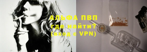 СК Бронницы