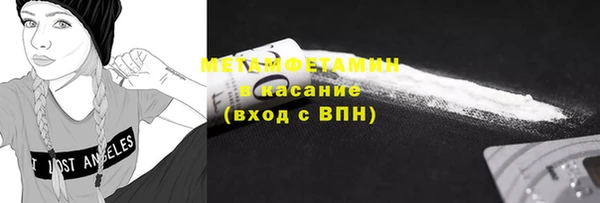 молекула духа Богданович