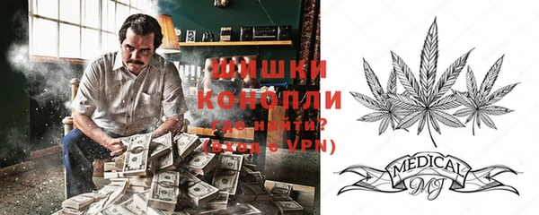 СК Бронницы