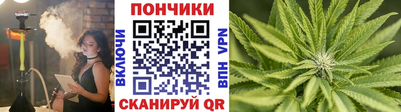 Шишки марихуана гибрид  где можно купить наркотик  Гурьевск 